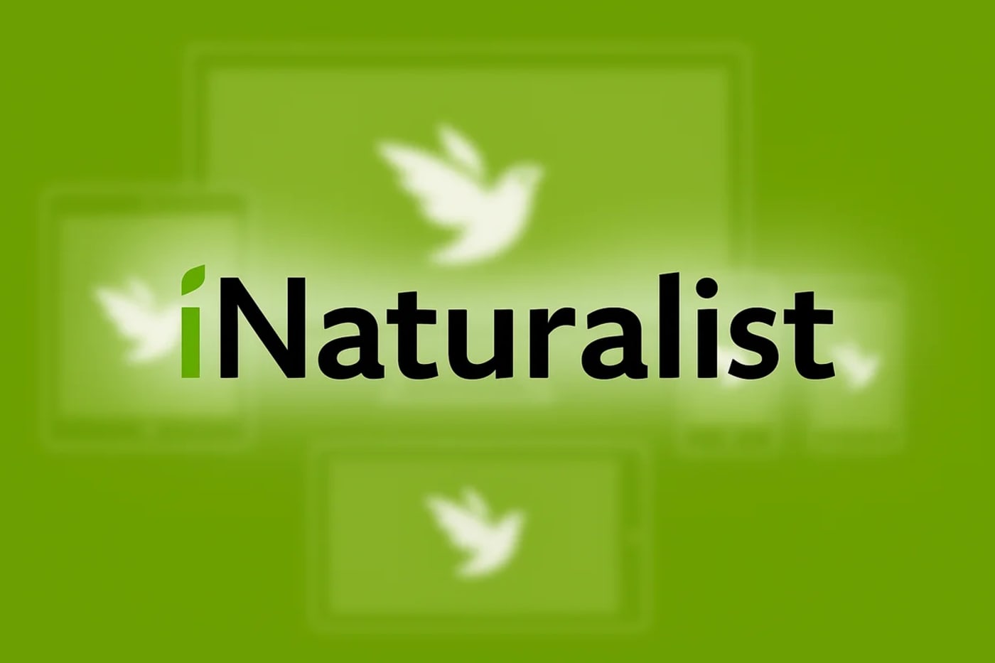 Logo de iNaturalist