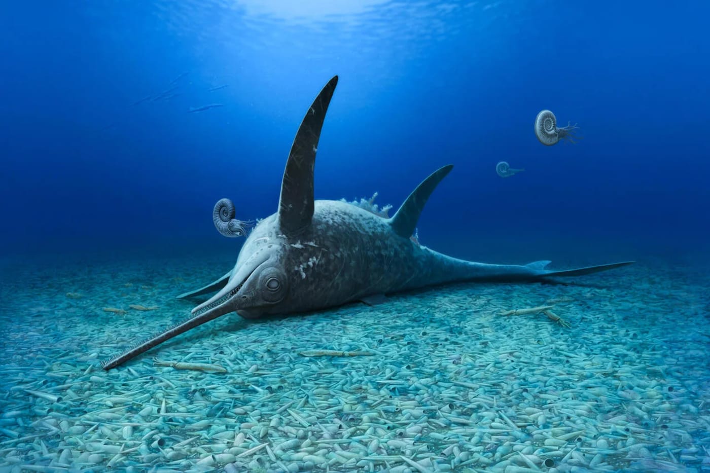 Reconstrucción paleoartística de Eurhinosaurus mistelgauensis en medio de un enjambre de belemnitas marinas