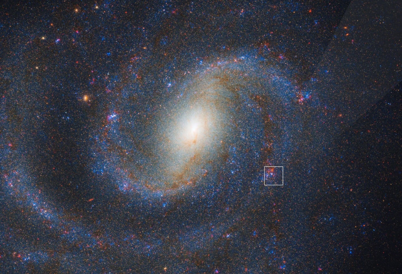 Vista combinada de los telescopios Webb y Hubble de la galaxia espiral NGC 1637