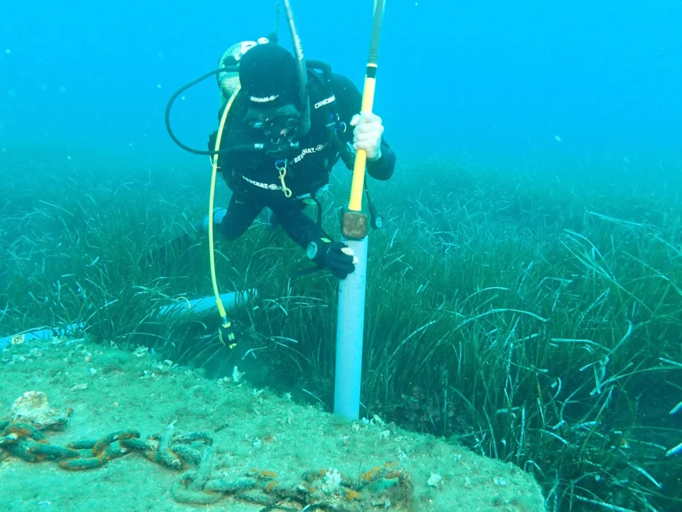 Investigadores trabajando en praderas submarinas de fanerógamas marinas