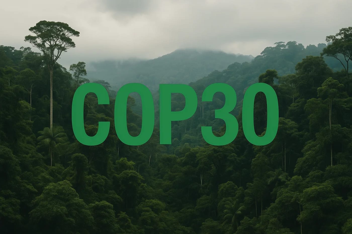 Texto COP30 sobre una selva tropical iluminada por la luz del día