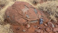 Lavas almohadilladas variolíticas del Grupo Whundo con manchas negras visibles
