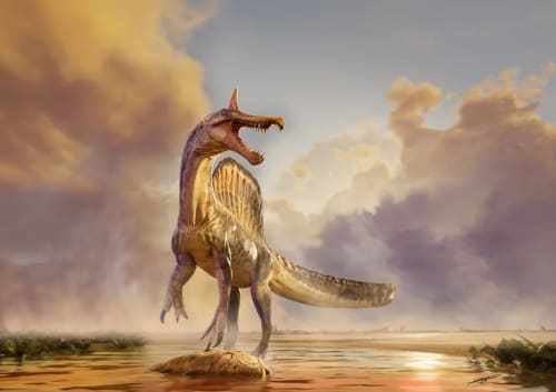 Ilustración de Spinosaurus mirabilis junto al cadáver de un celacanto en un río del Cretácico