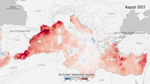 Mapa de anomalías de temperatura superficial del mar Mediterráneo en agosto de 2023