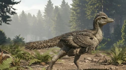 Reconstrucción artística del ave jurásica Zhengheornis buyu