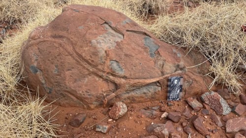 Lavas almohadilladas variolíticas del Grupo Whundo con manchas negras visibles