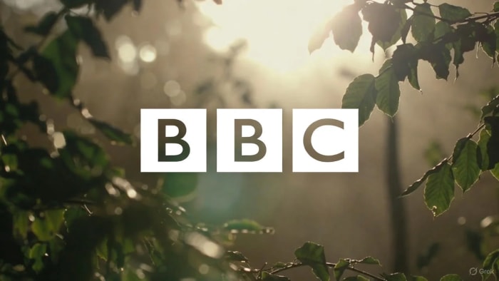 Logotipo con las letras BBC centrado sobre un fondo natural con hojas verdes y luz solar difusa