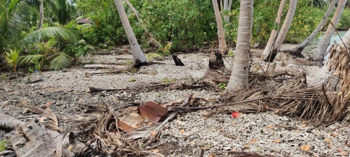 Investigadores tomando mediciones en la costa de la isla Fiyoaree, en las Maldivas, para estudiar inundaciones y aumento del nivel del mar