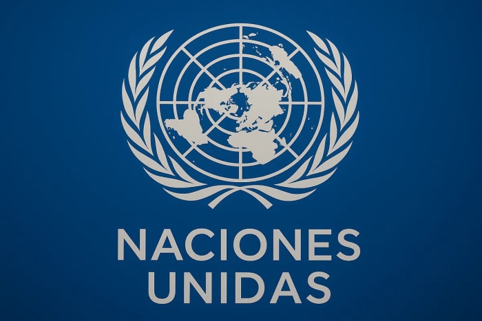 Emblema oficial de las Naciones Unidas acompañado del texto “Organización de las Naciones Unidas” sobre un fondo azul difuminado