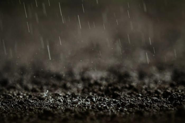 Suelo húmedo visto de cerca mientras caen gotas de lluvia sobre la tierra oscura