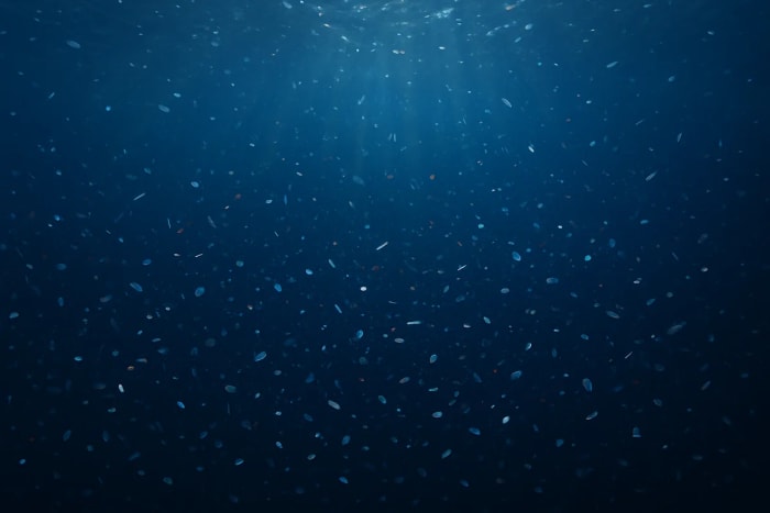 Vista submarina con microplásticos suspendidos iluminados por haces de luz desde la superficie