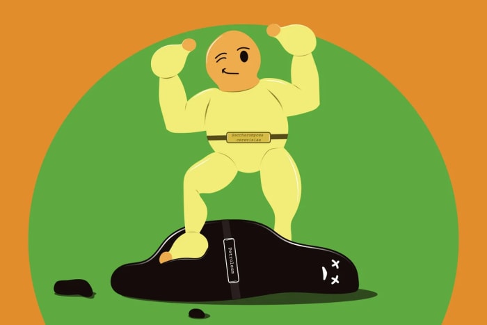 Levadura utilizada como alternativa biotecnológica al petróleo