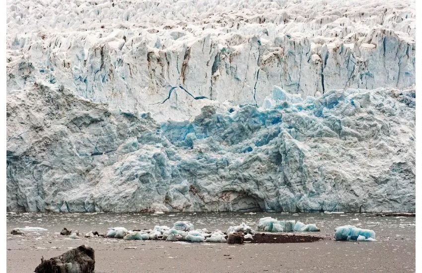 Desentrañando el Cambio Climático: Una Crisis Global