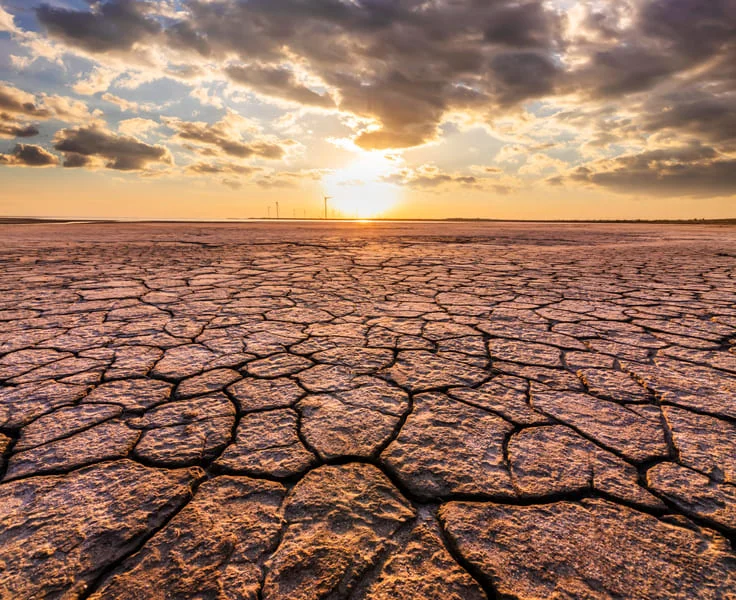 Terreno agrietado bajo un cielo al atardecer, simbolizando la desertificación.