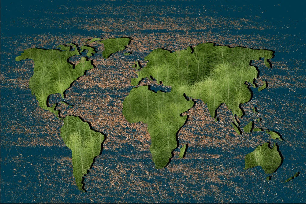 ¿Quiénes Creían que la Tierra Era Plana?