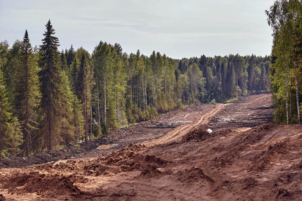 El Desafío Global de la Deforestación