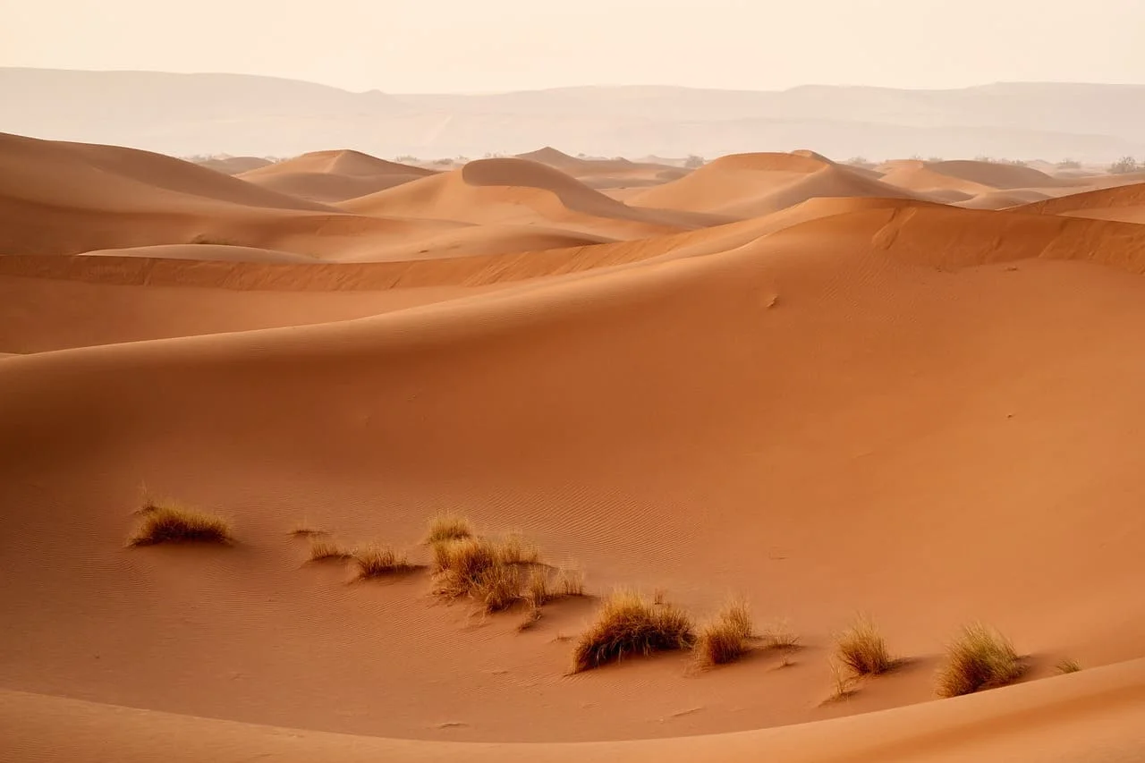 Imagen de un caluroso y árido desierto.