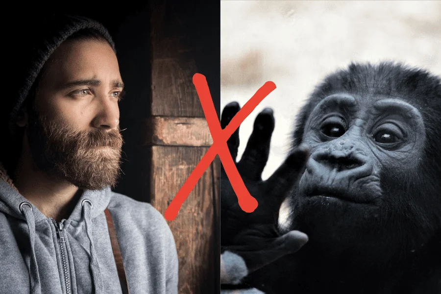 Imagen de un hombre y un primate.