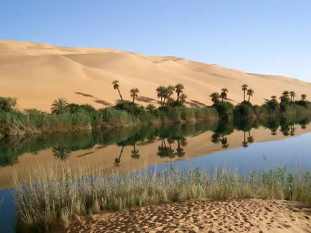 Un oasis en medio del desierto, con palmeras, agua y vegetación exuberante.