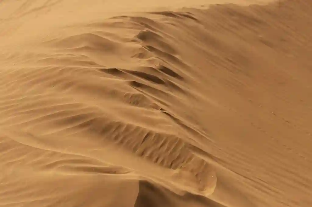 Dunas de arena ondulantes en un paisaje desértico árido.