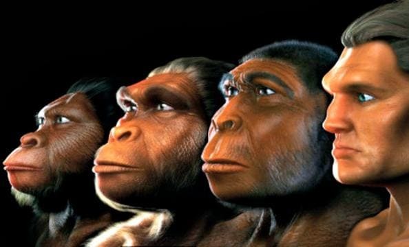 Evolución de las Especies: Mecanismos y Evidencias