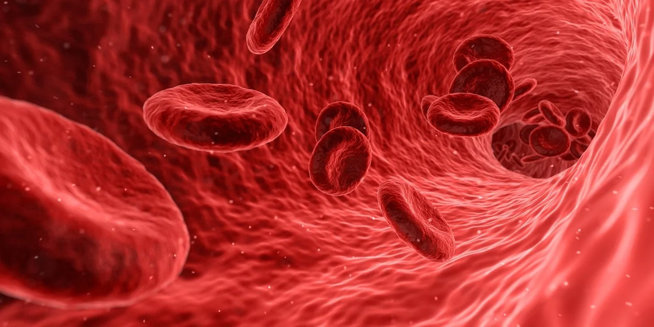 Representación en 3D de glóbulos rojos fluyendo a través de un vaso sanguíneo.