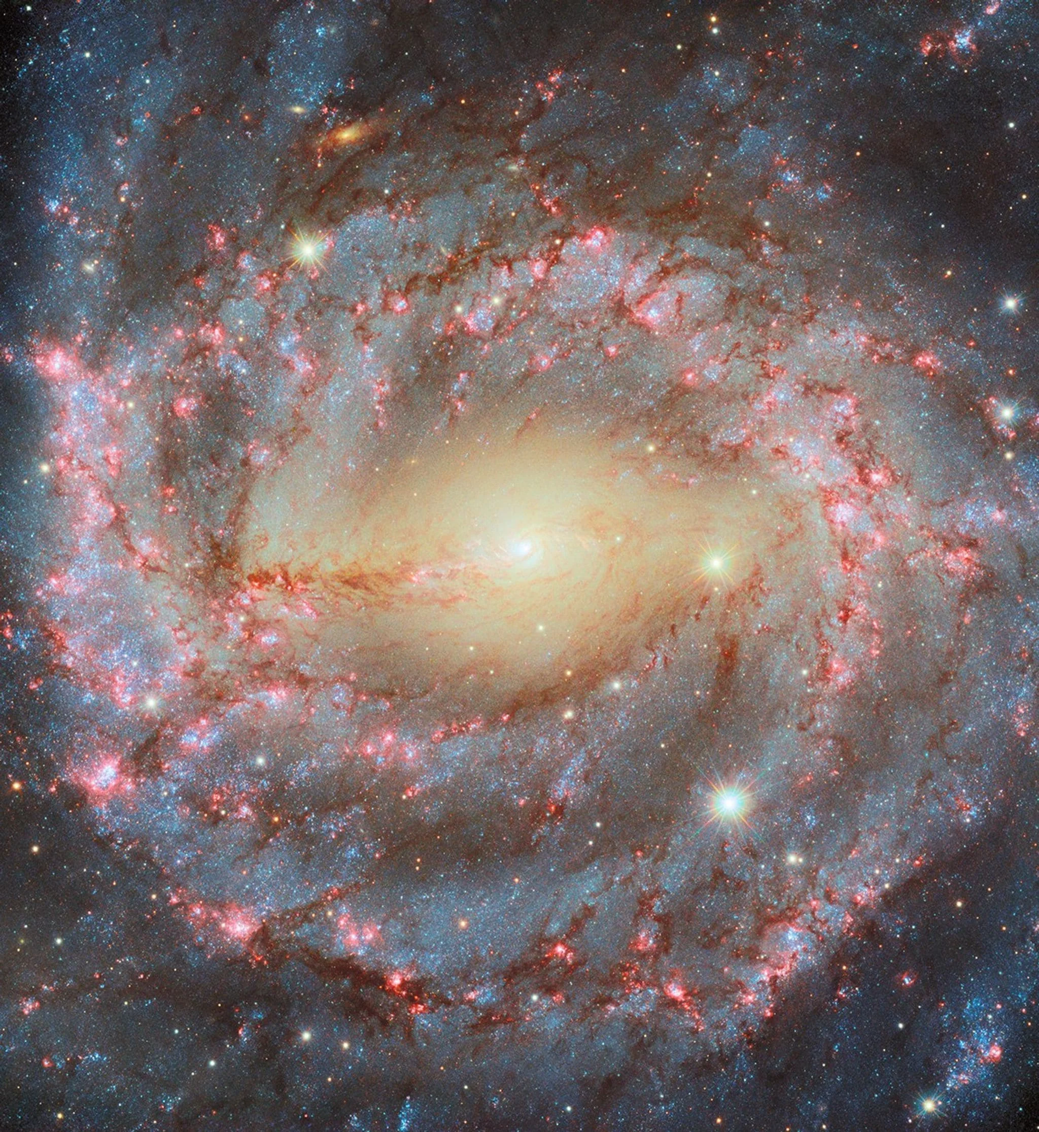 Imagen del telescopio espacial Hubble muestra la galaxia espiral NGC 1637, con brazos llenos de estrellas jóvenes y regiones rosadas de hidrógeno ionizado.