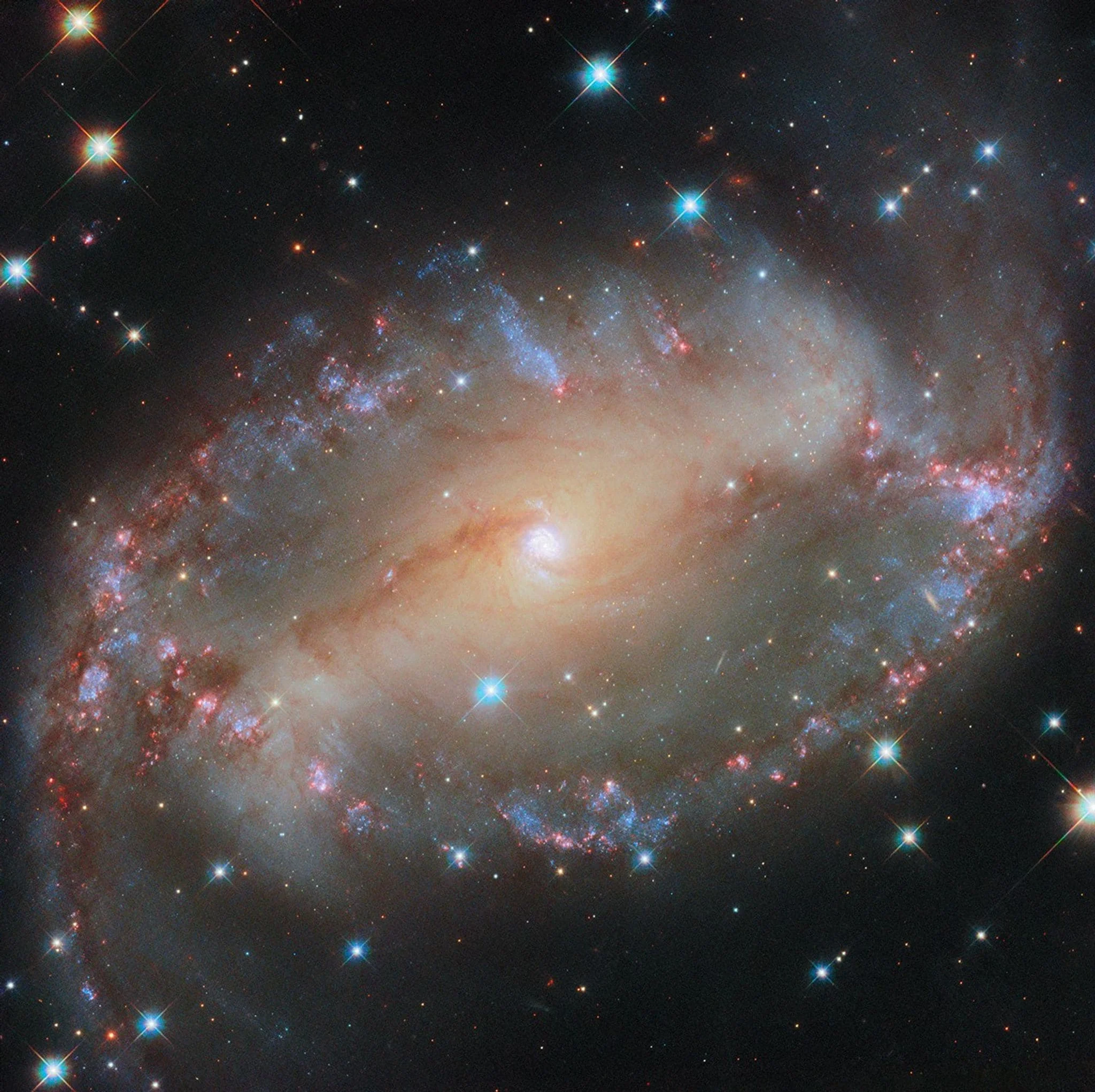 Imagen del telescopio espacial Hubble muestra la galaxia espiral NGC 2566, destacando su prominente barra central y brazos espirales llenos de estrellas jóvenes.