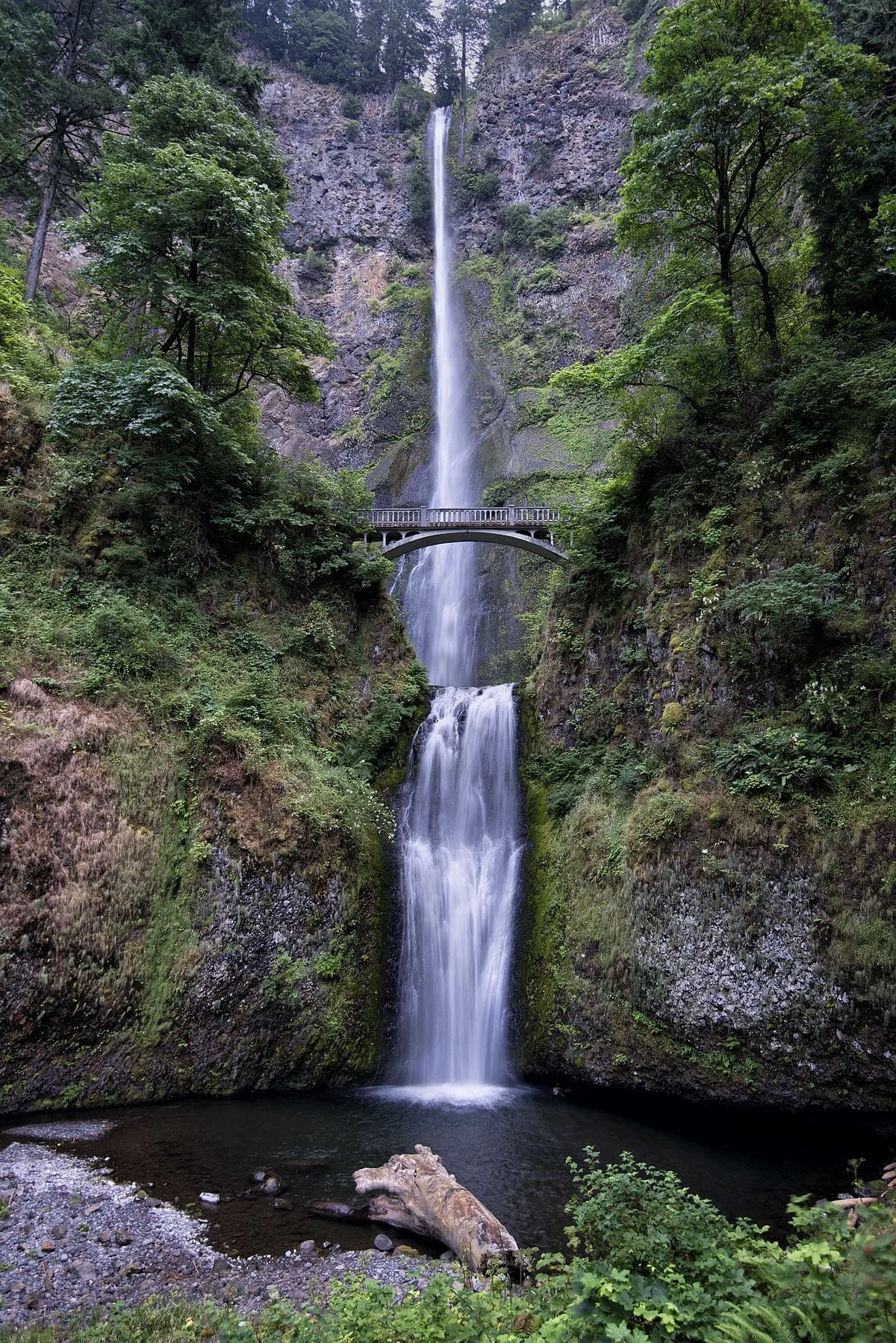 Vista de la cascada Multnomah en Oregón con un puente en la parte superior rodeado de vegetación verde.