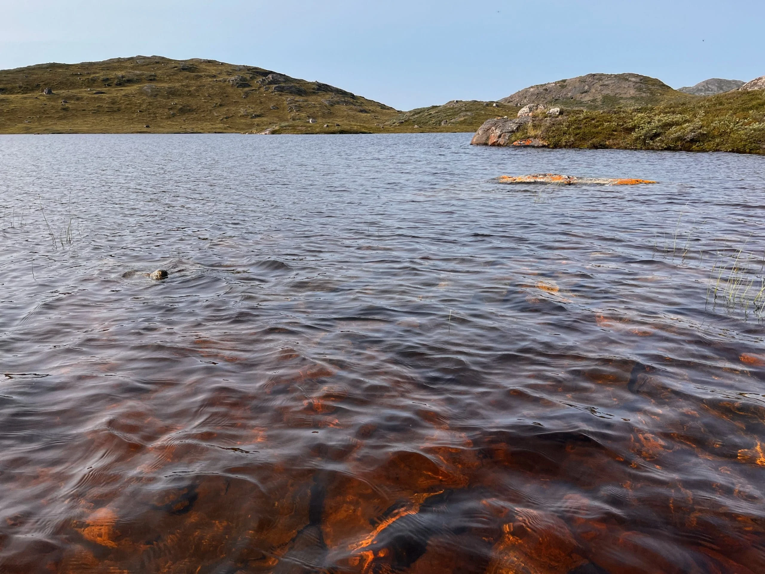 Vista aérea de un lago marrón en Groenlandia, afectado por el cambio climático.