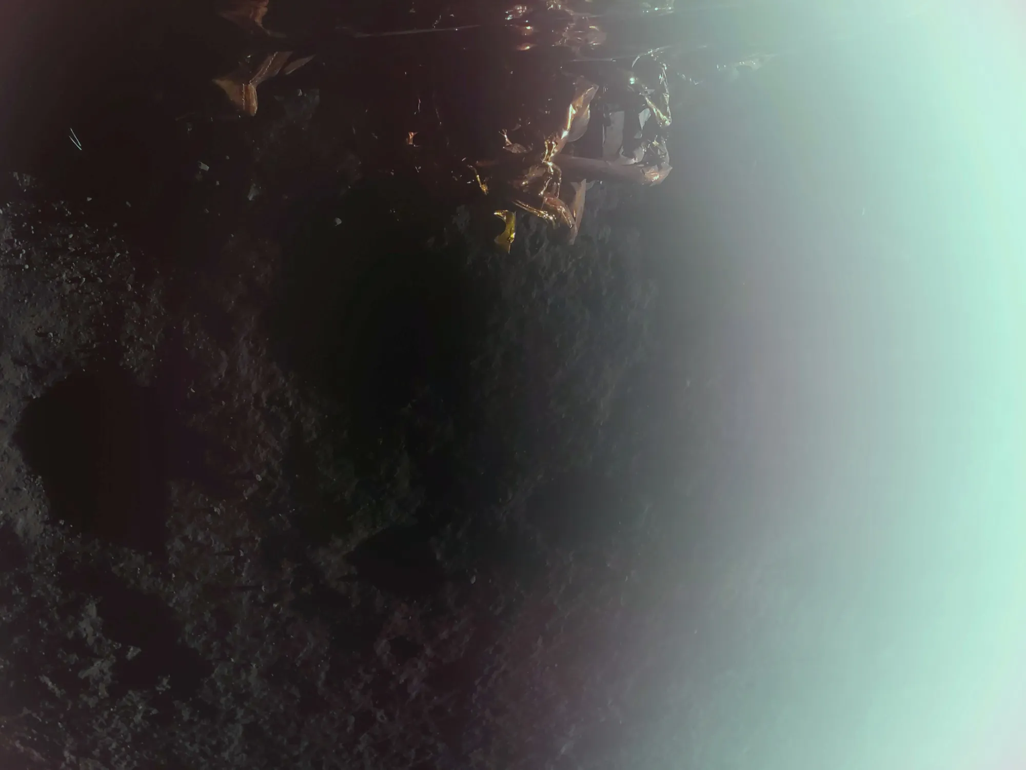 Primera imagen captada por la sonda Blue Ghost tras su aterrizaje en la Luna, mostrando la superficie lunar.