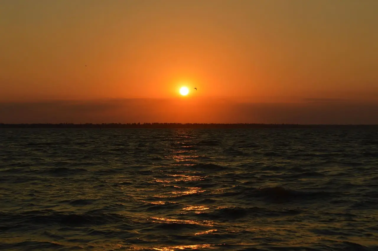 Atardecer sobre un estuario con reflejos dorados en el agua y un ave volando en el horizonte.