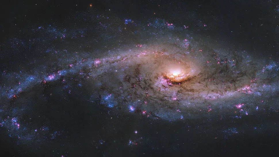 Imagen de la galaxia NGC 4536 captada por el Telescopio Espacial Hubble, mostrando cúmulos azules de estrellas jóvenes y regiones rosadas de hidrógeno ionizado en sus brazos espirales.