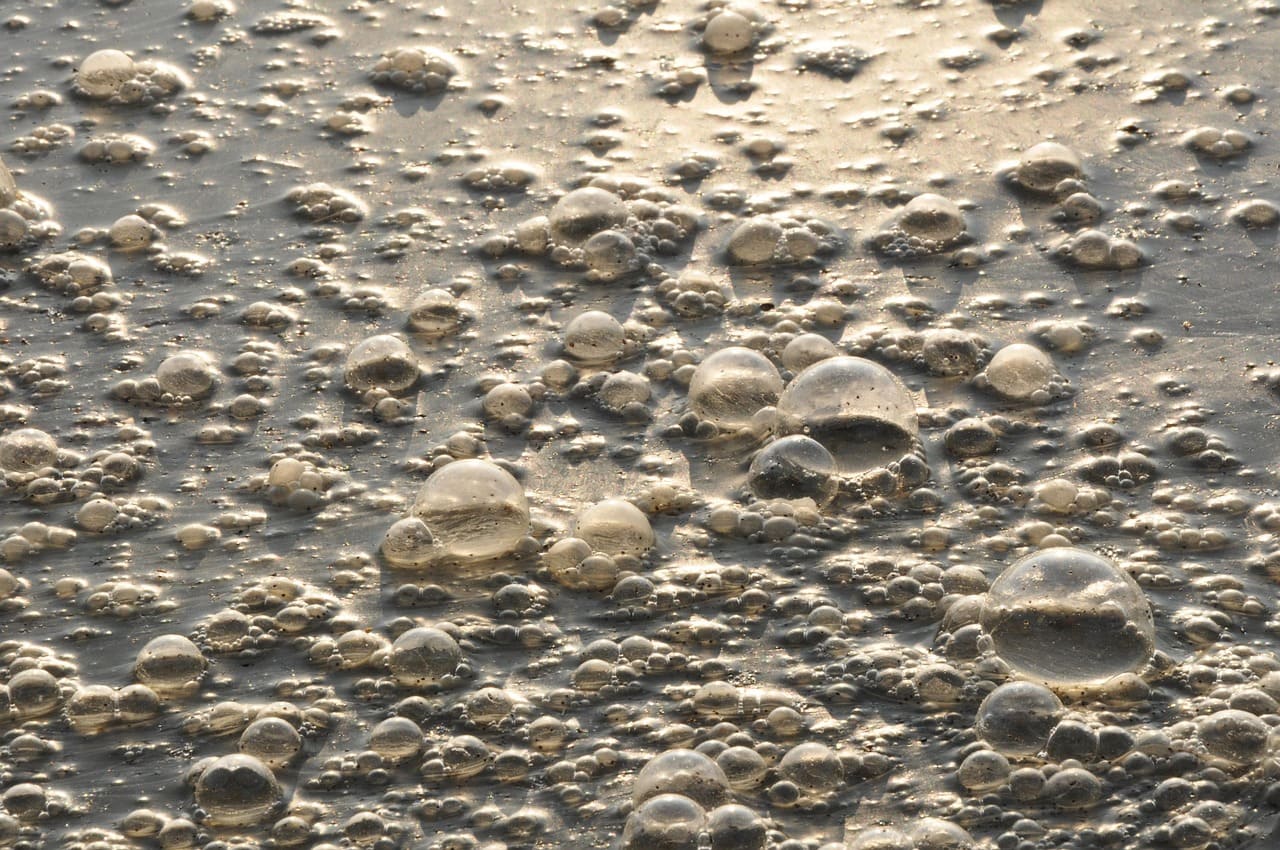 Burbujas en la superficie de un cuerpo de agua contaminada, formadas por gases y residuos orgánicos en descomposición visible.
