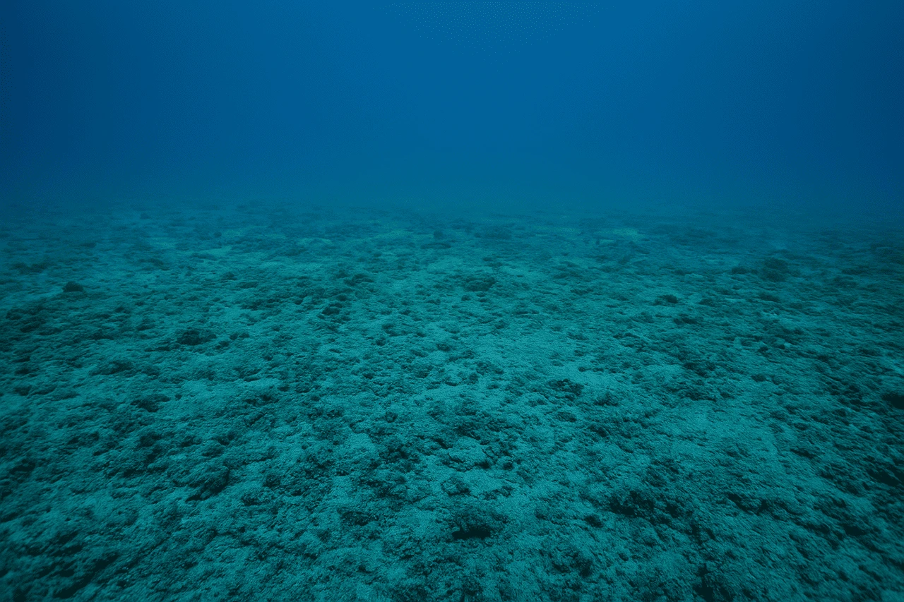 Fondo oceánico profundo intacto, con sedimentos naturales y sin maquinaria visible