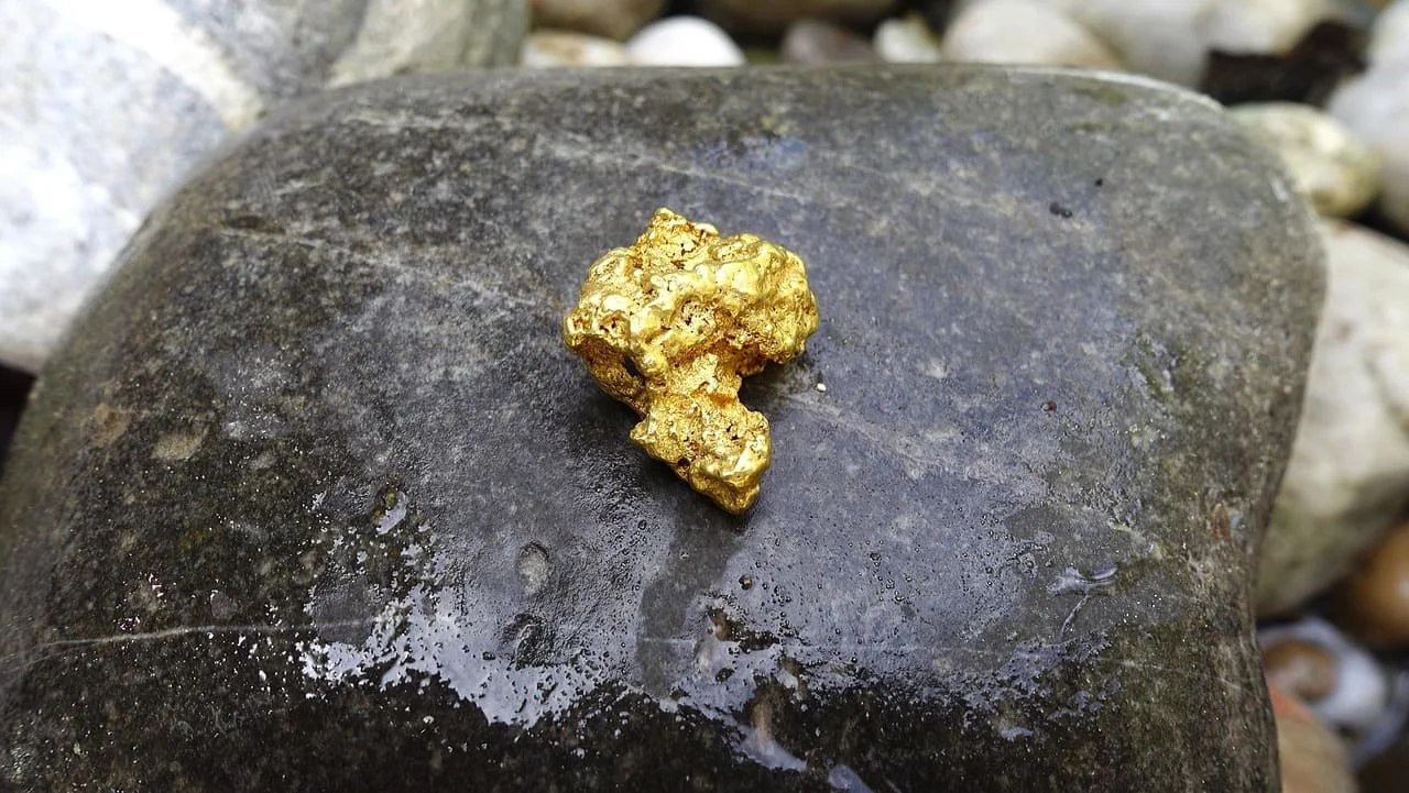 Pepita de oro encontrada en el lecho de un río