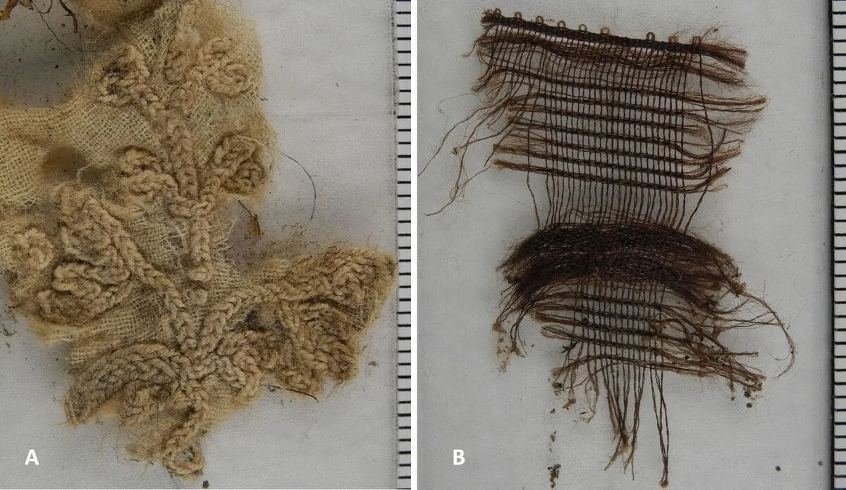 Tejidos encontrados en la cavidad abdominal de la momia