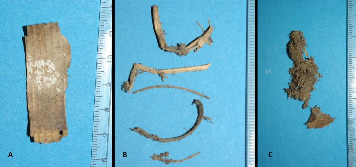 Material de embalsamamiento extraído del abdomen de la momia