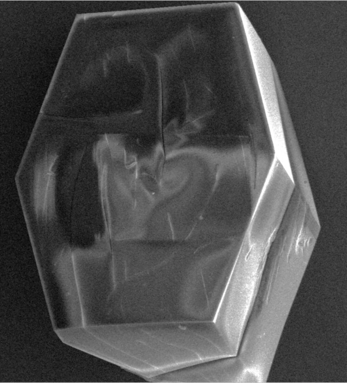 Cristal de lisozima observado con microscopía electrónica