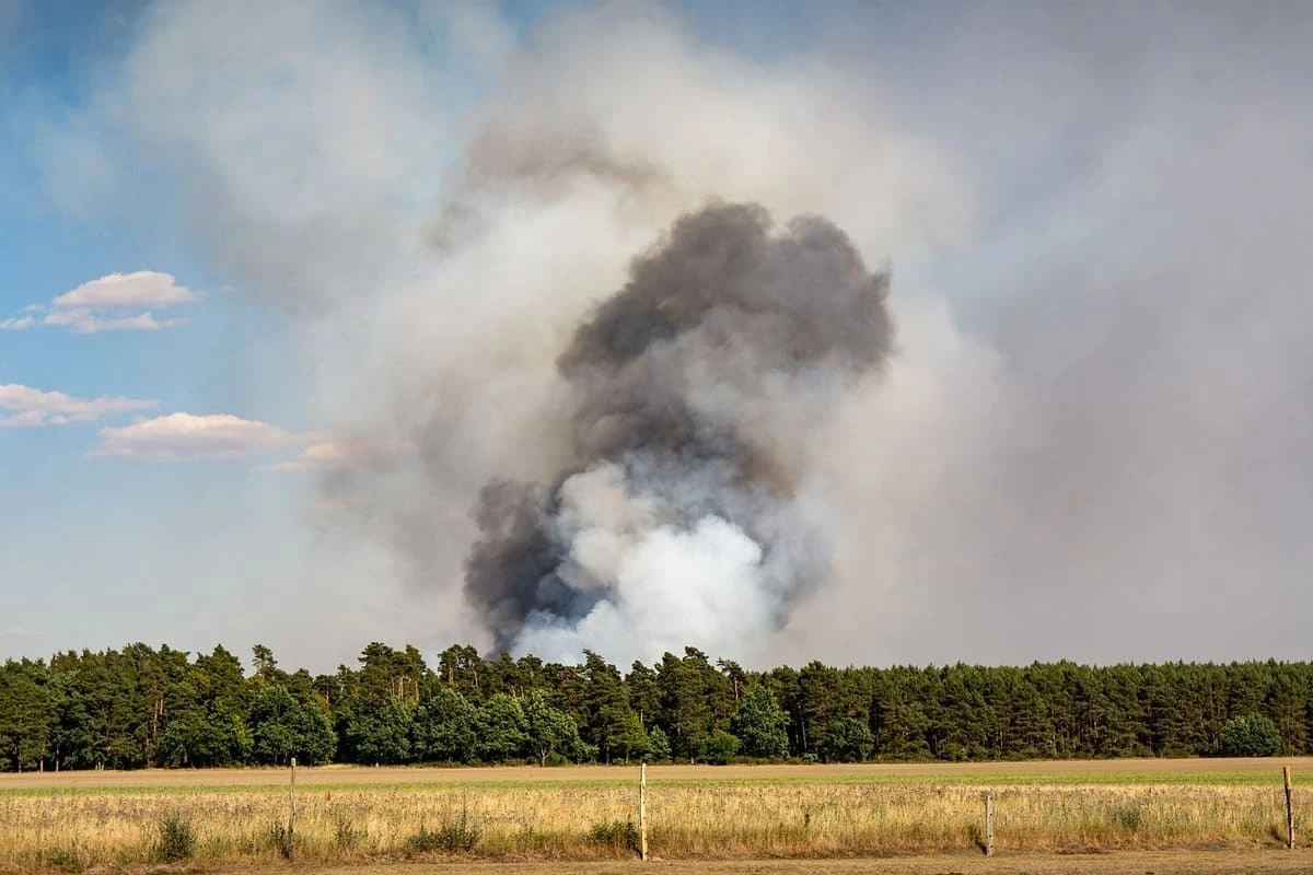 Columna de humo negro y blanco elevándose desde incendio en bosque cercano a un campo abierto