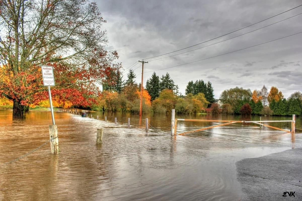 Parque inundado en otoño con árboles y cartel de cierre