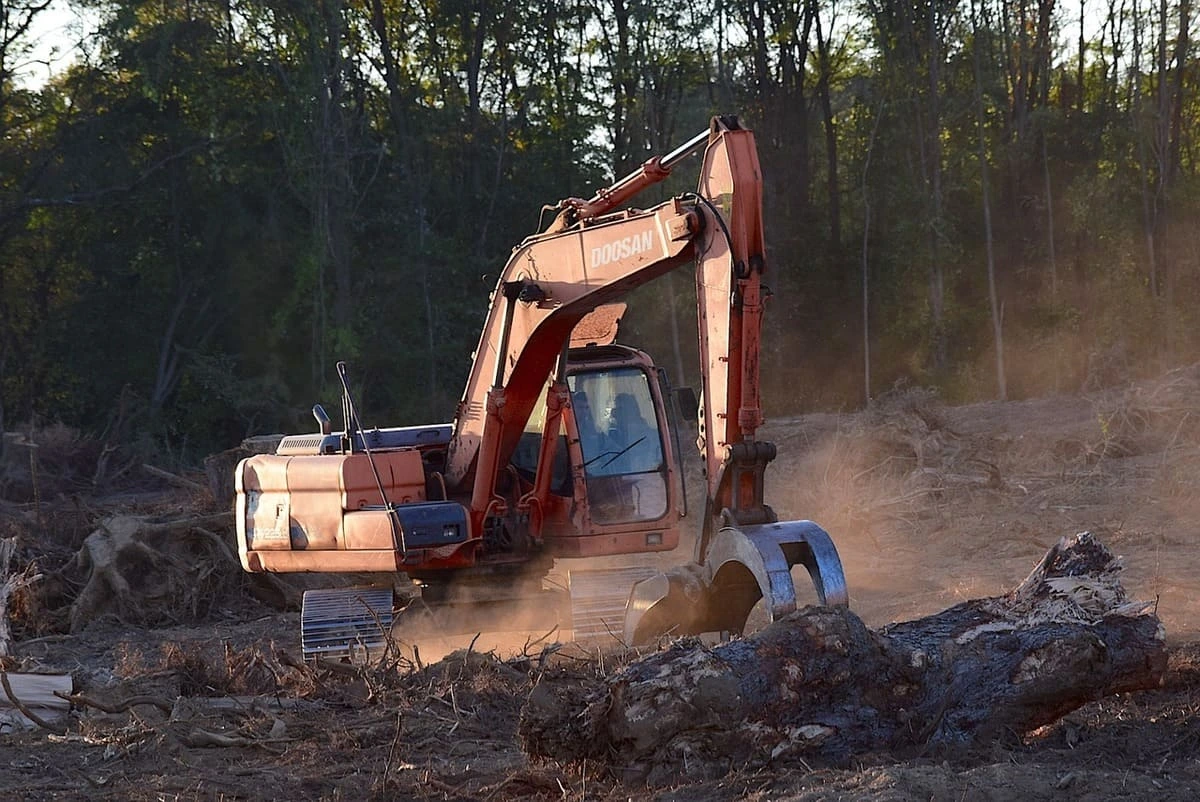 Excavadora deforestando bosque