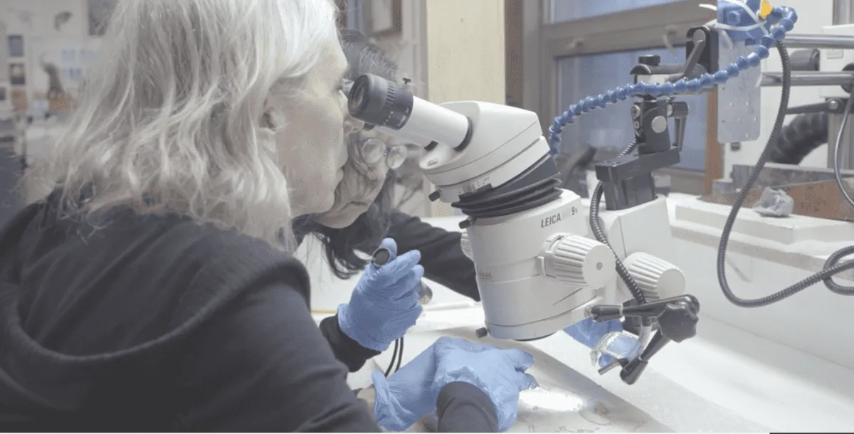 Paleontólogas trabajando con microscopio sobre un fósil en laboratorio