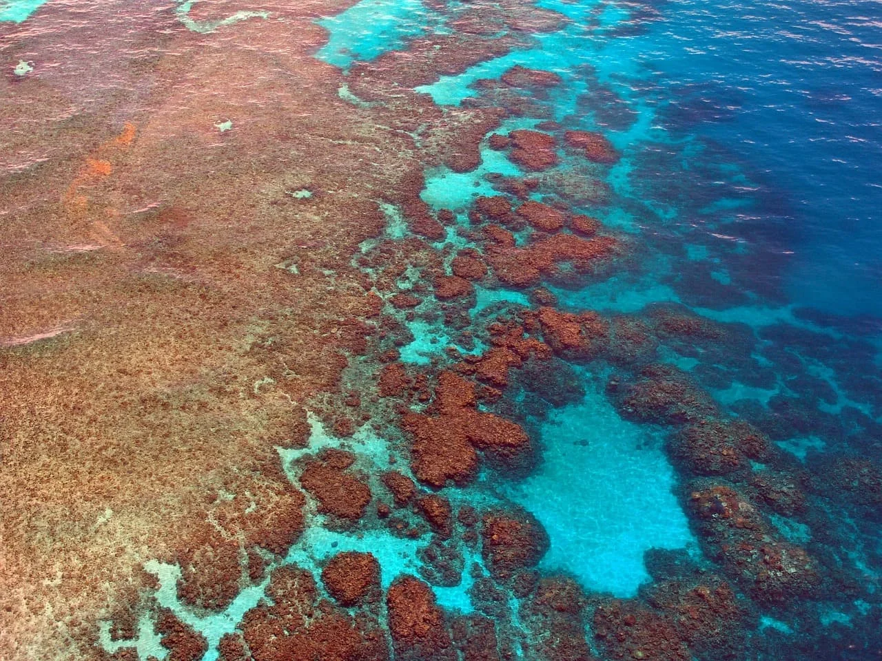 Gran Barrera de Coral