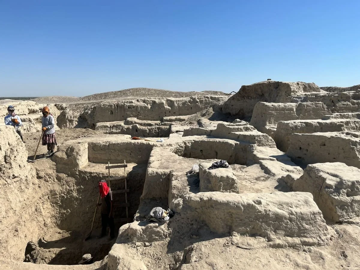 Excavación arqueológica en Vardhanze, Uzbekistán