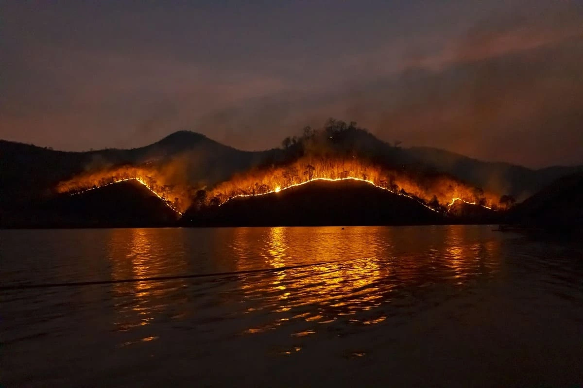 Incendio forestal ardiendo en una ladera