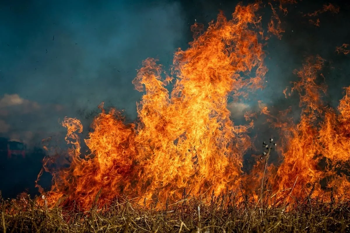Llamas intensas consumiendo vegetación seca durante un incendio forestal