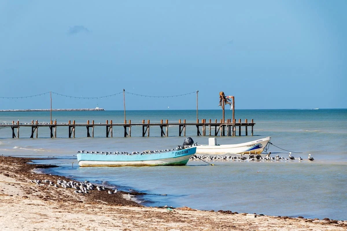 Playa mexicana con sargazo acumulado y barcas pesqueras, contaminación costera visible