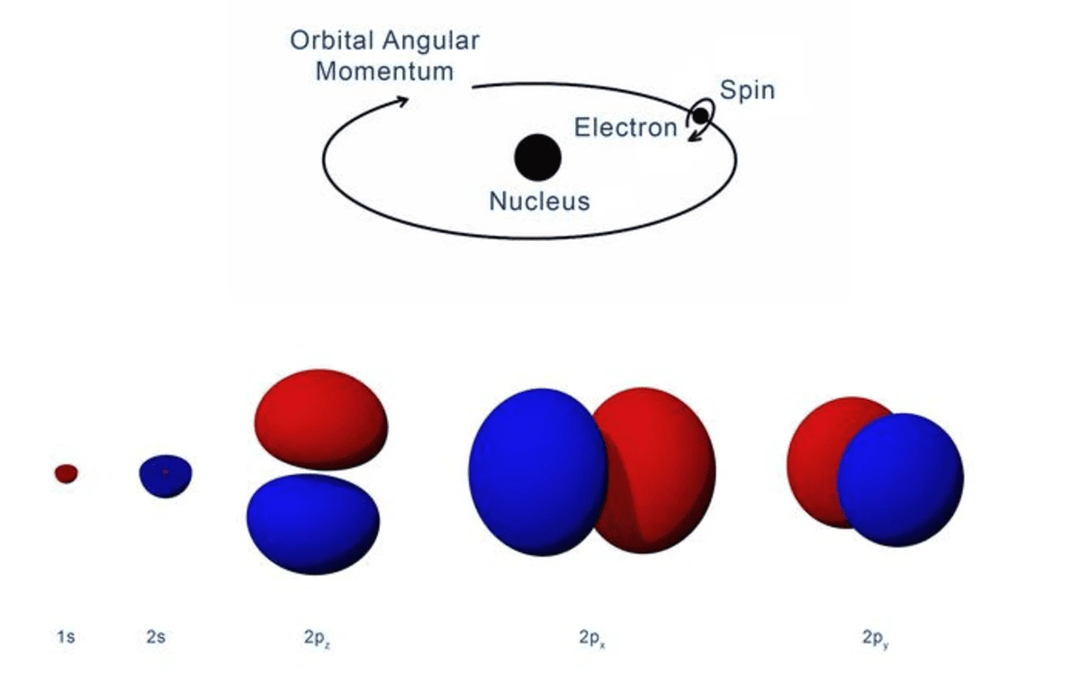 Representación de momento angular orbital y orbitales atómicos