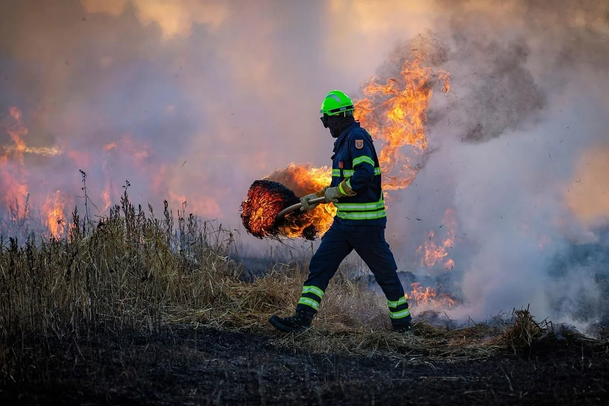 Incendio forestal combatido por bombero